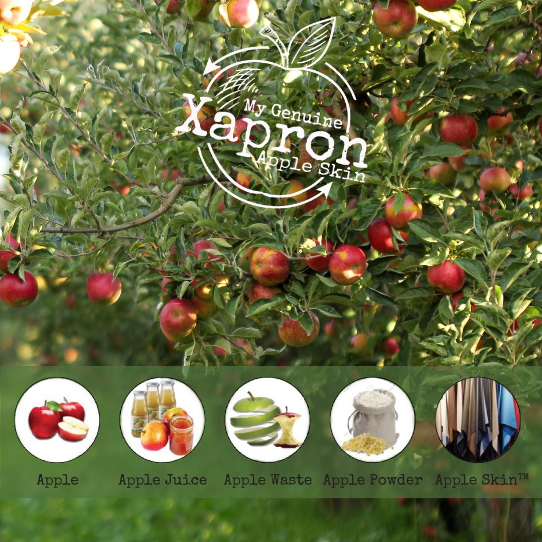 Https://xapron.nl/vegan-schorten/